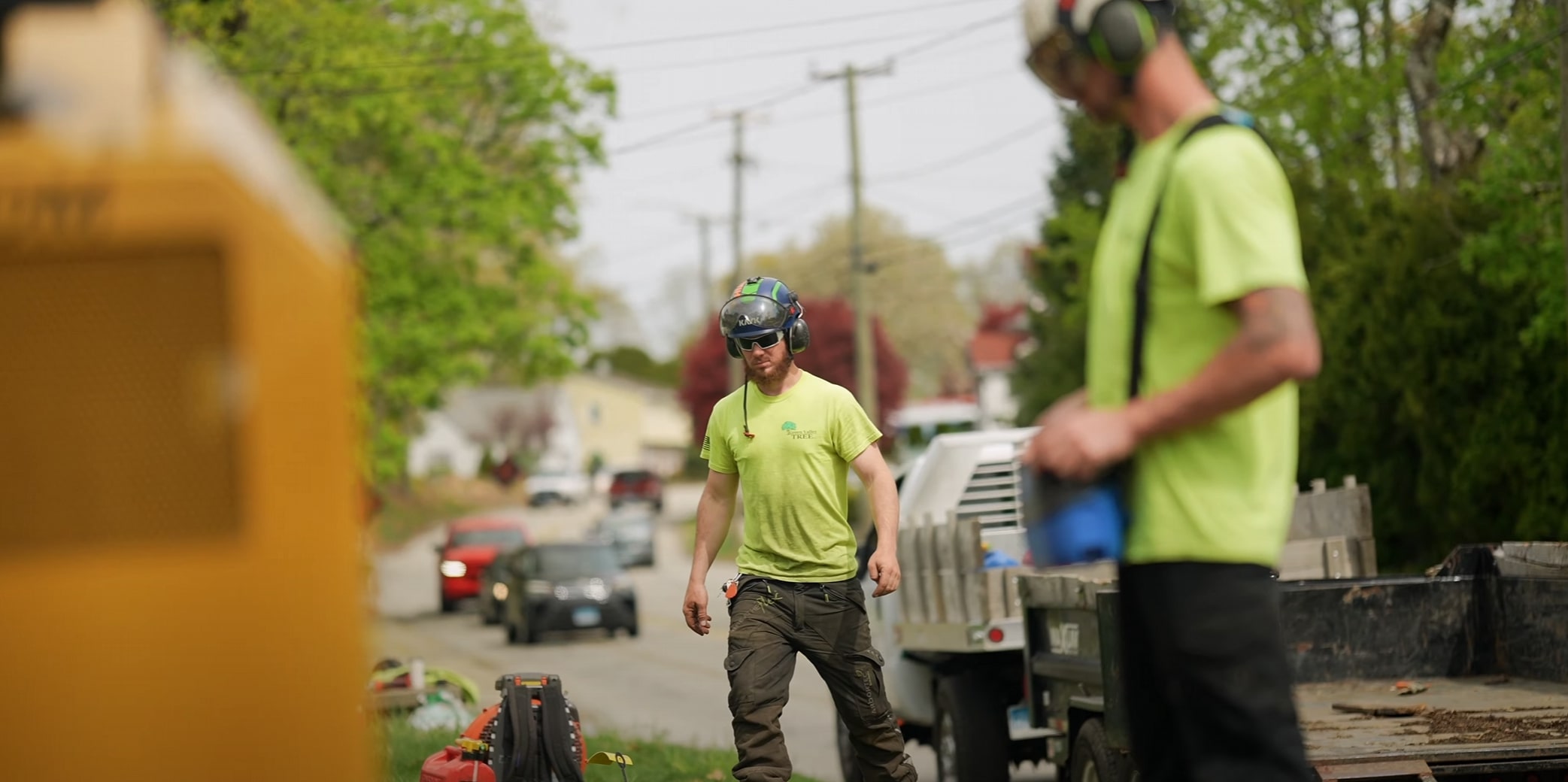 Professional tree service crew working in San Clemente, CA